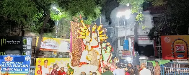 The idols by night
